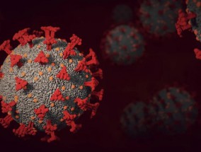  В России отмечается рост выявленных случаев новой коронавирусной инфекции