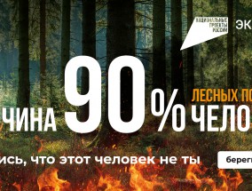 Национальный проект «Экология». Нарушителей противопожарных правил накажут рублём