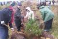 В 2017 году в Калужской области посажено более 788 тысяч саженцев деревьев